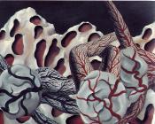 雷内 马格里特 : 世界的血